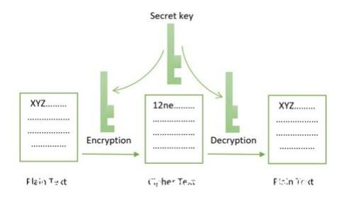 SHIB与TP钱包：如何应对加密货币贬值风险