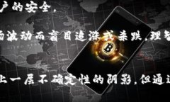 不承认加密货币的原因及影响分析加密货币, 不承