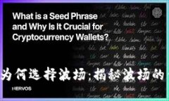 : T P钱包为何选择波场：揭秘波场的优势与潜力