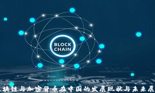 
区块链与加密货币在中国的发展现状与未来展望